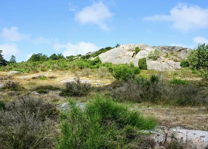 招待所 Nordvig 3*